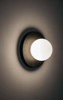 Tablet 6 Sconce